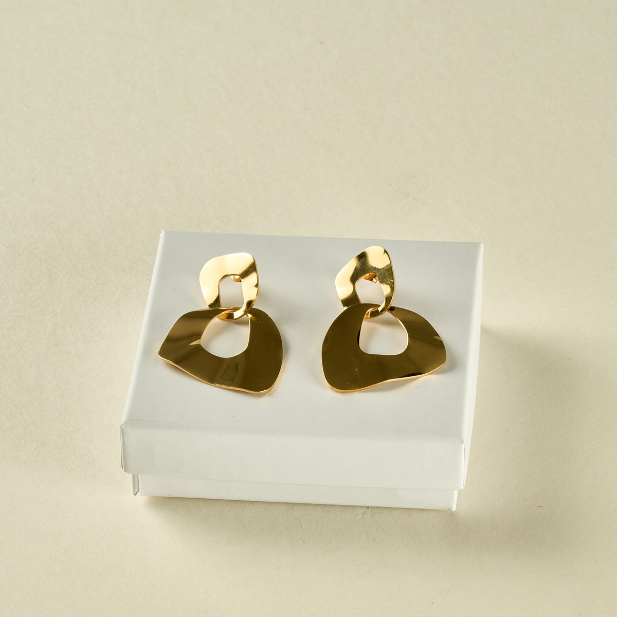 Stainless Steel Earrings 122E1425
