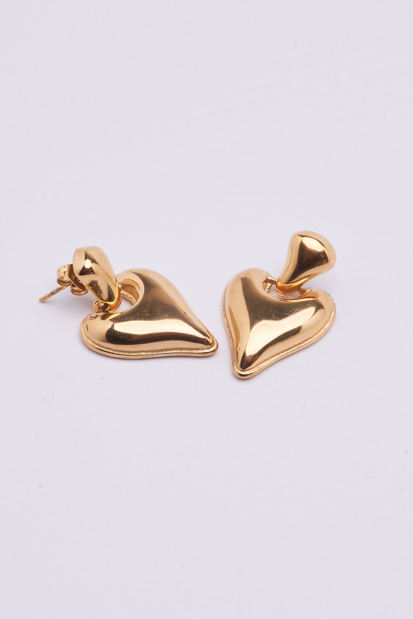 Stainless Steel Earrings 123E2277