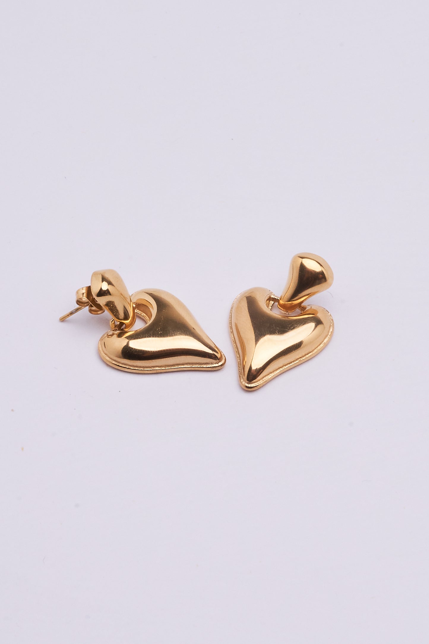 Stainless Steel Earrings 123E2277