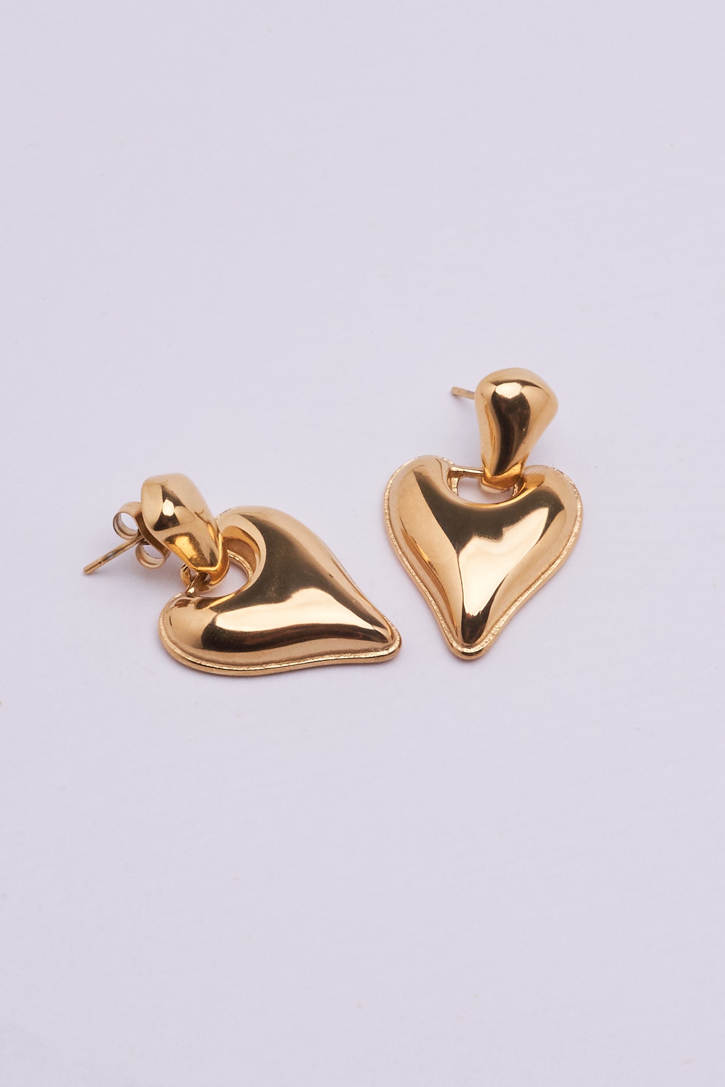 Stainless Steel Earrings 123E2277