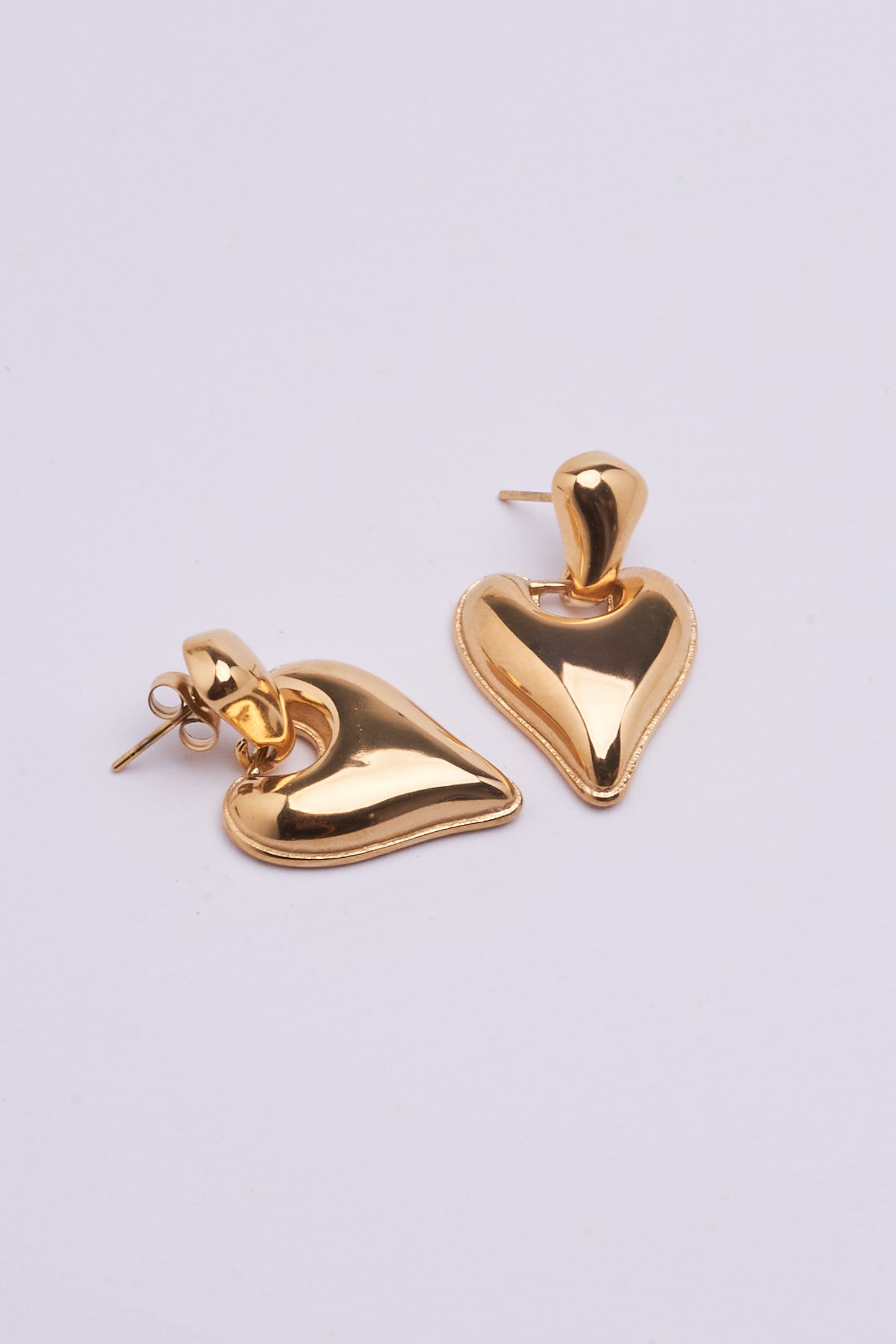 Stainless Steel Earrings 123E2277