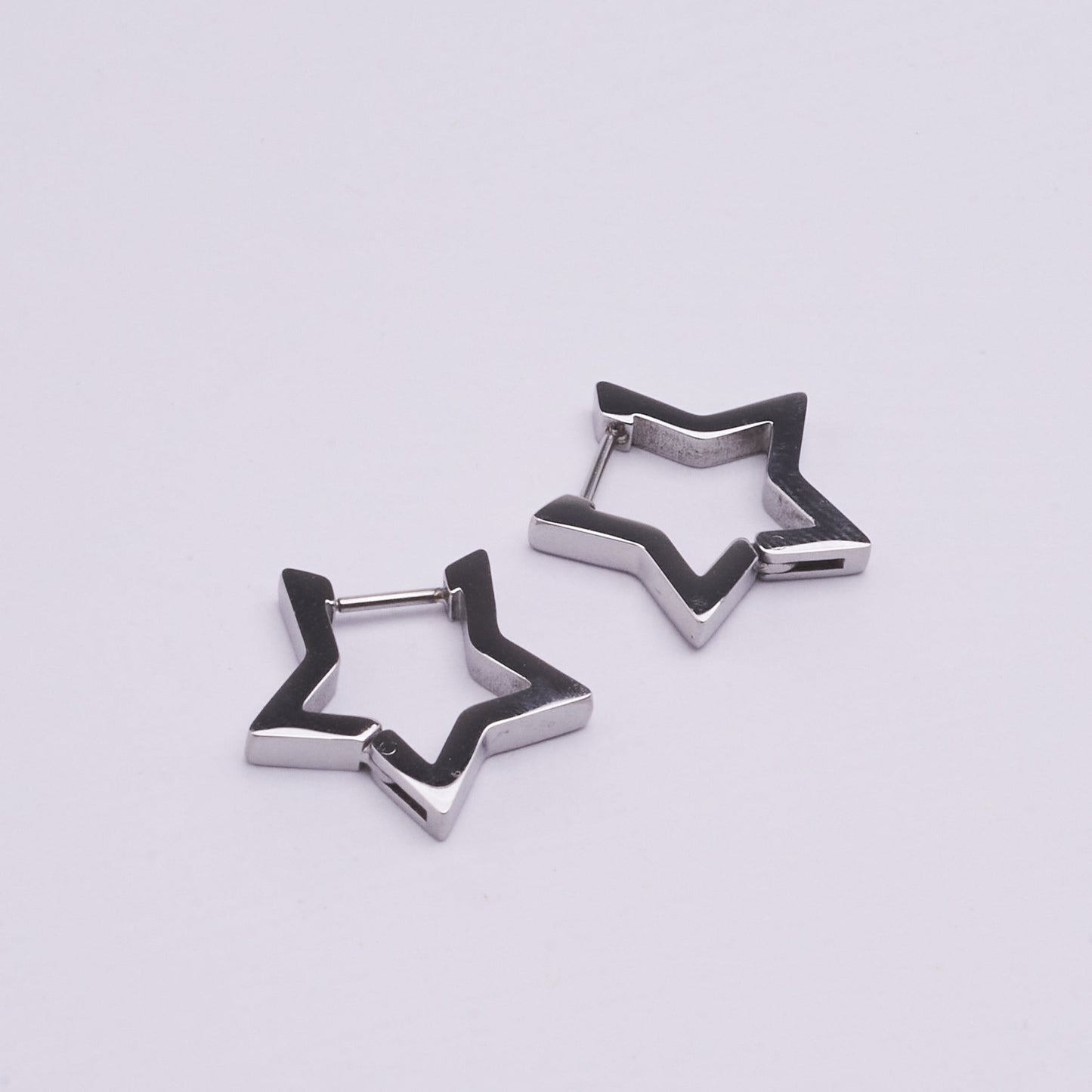 Stainless Steel Earrings 123E2281