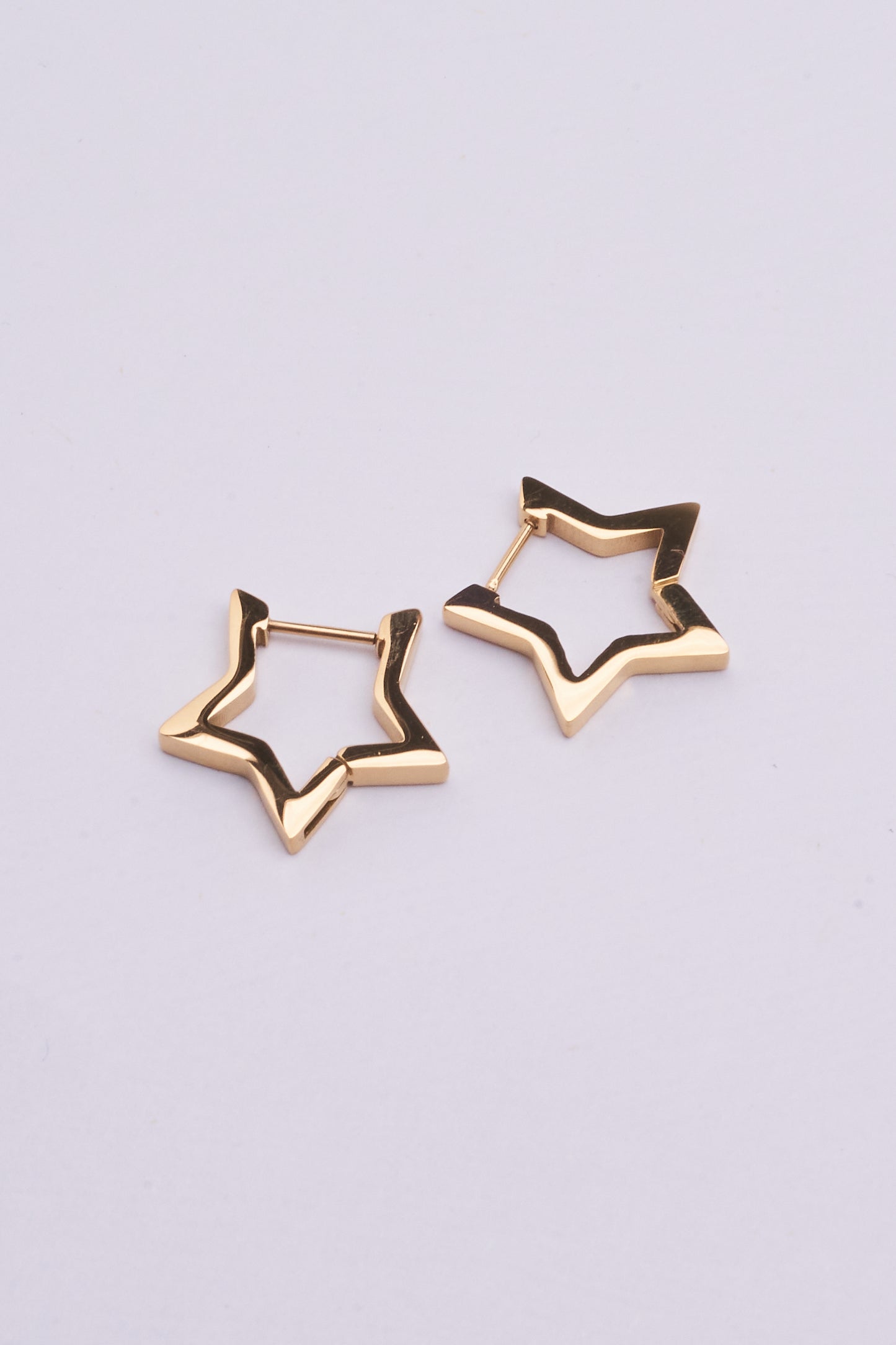 Stainless Steel Earrings 123E2281