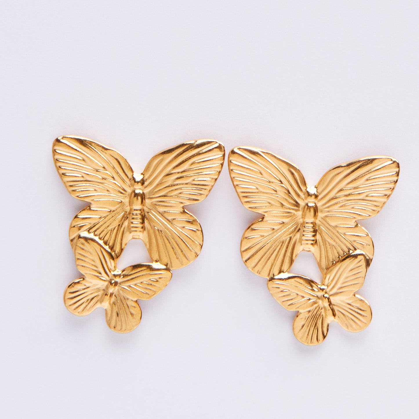 Stainless Steel Earrings E343