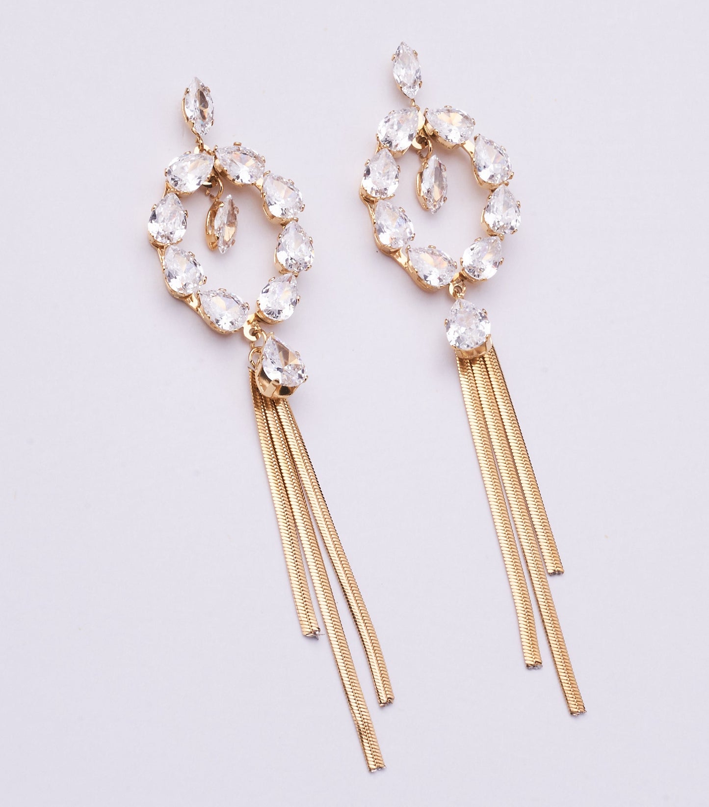 Stainless Steel Earrings 123E2278