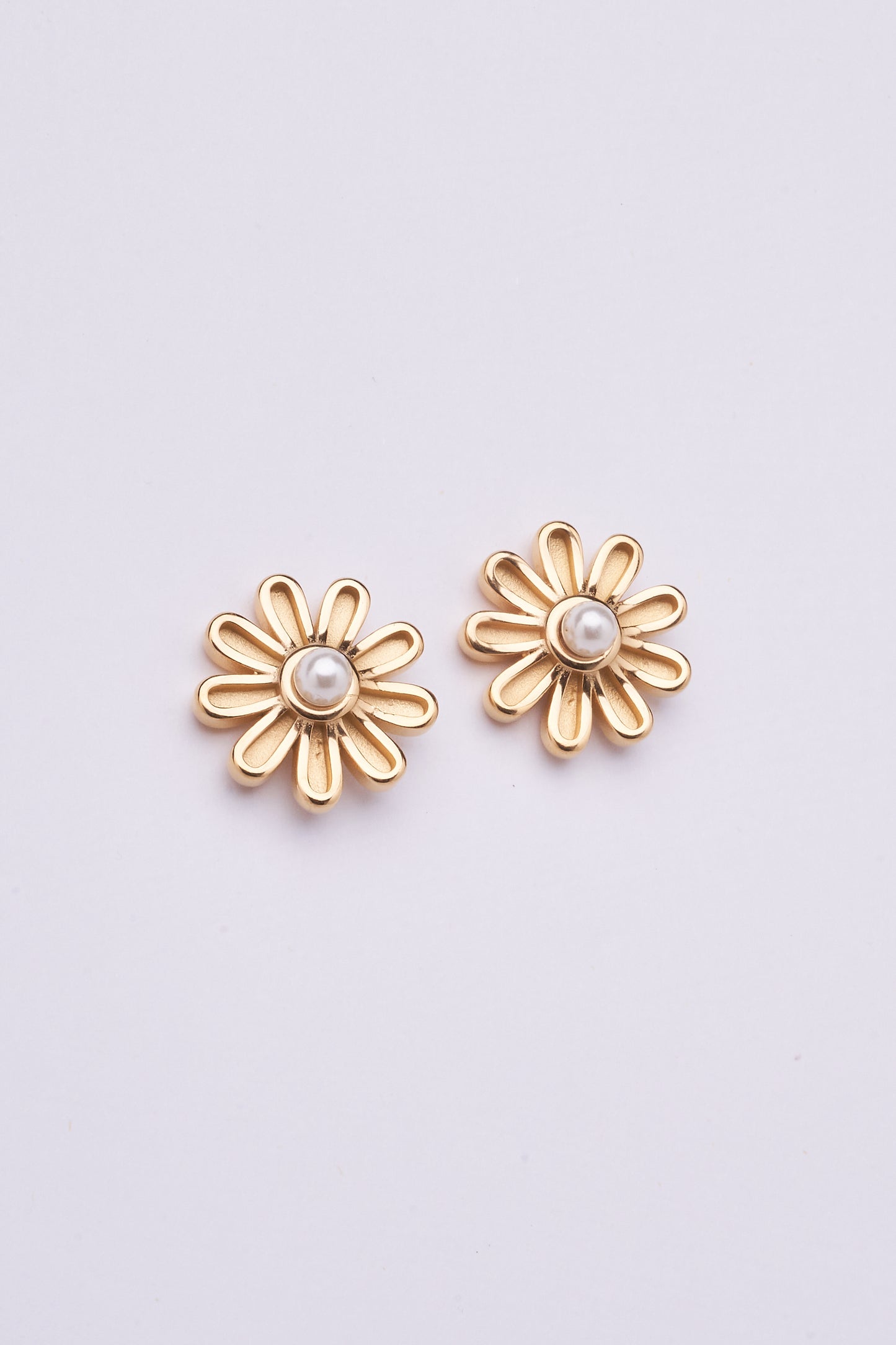 Stainless Steel Earring 162E1004