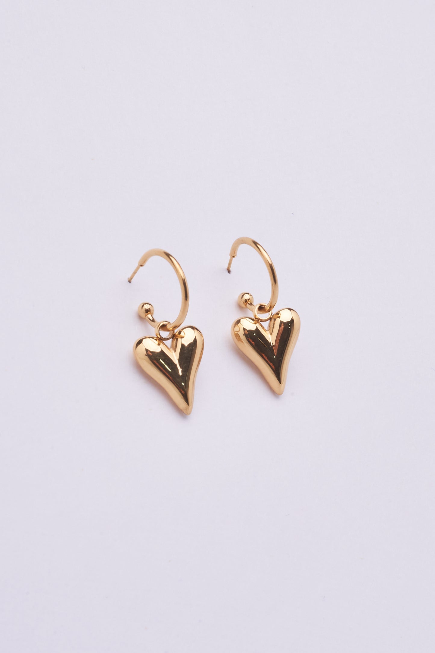 Stainless Steel Earring 122E1513