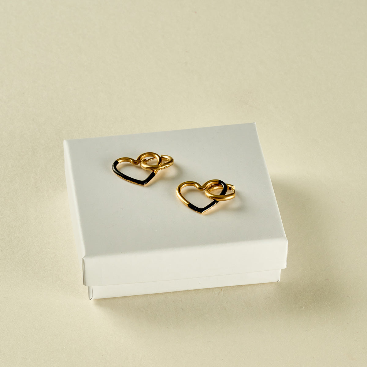 Stainless Steel Earrings 122E1402