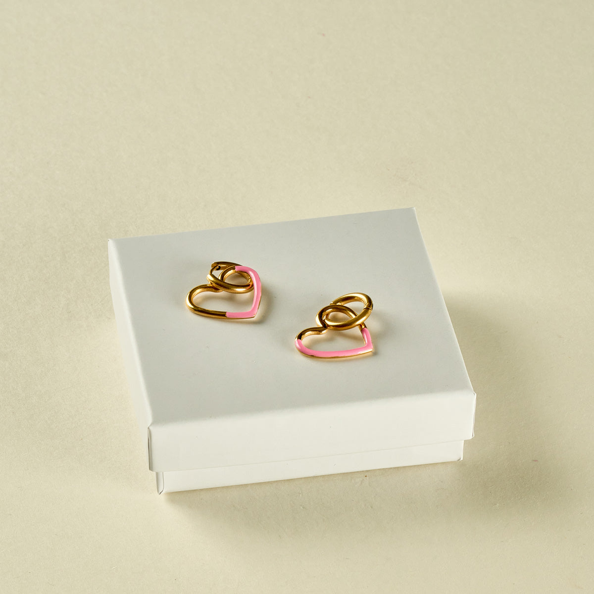 Stainless Steel Earrings 122E1403