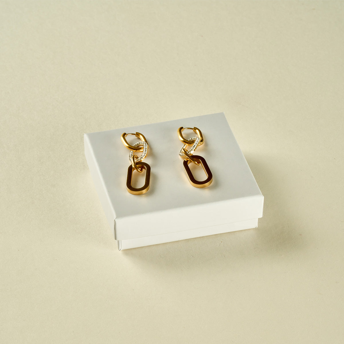 Stainless Steel Earrings 122E1423