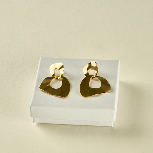 Stainless Steel Earrings 122E1425