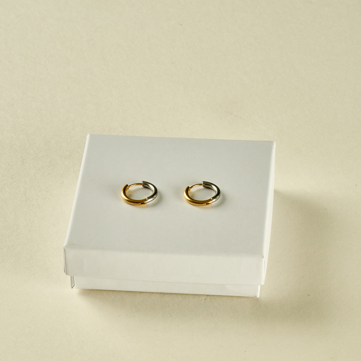 Stainless Steel Earrings 122E1426