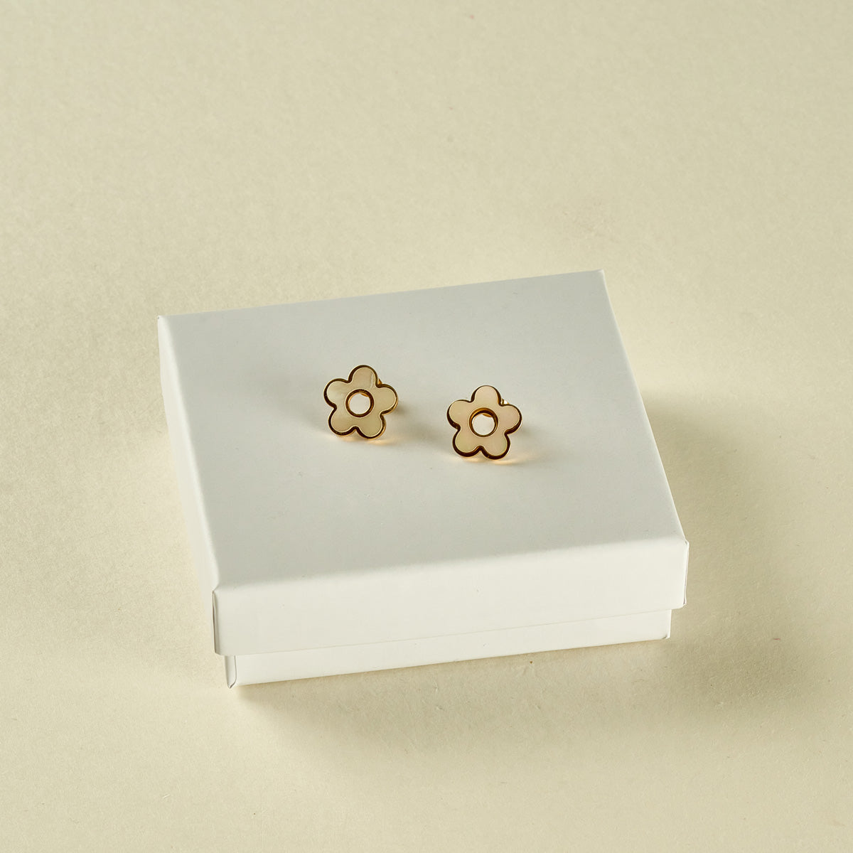 Stainless Steel Earrings 122E1427