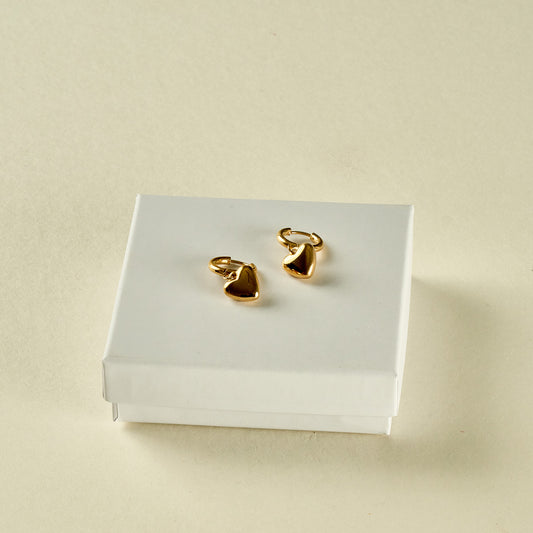 Stainless Steel Earrings 122E1431