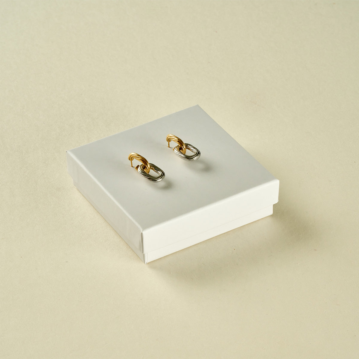 Stainless Steel Earrings 123E2235