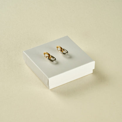 Stainless Steel Earrings 123E2235