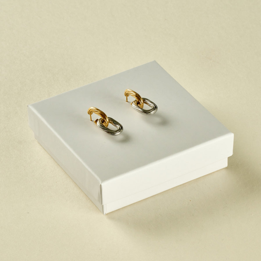 Stainless Steel Earrings 123E2235
