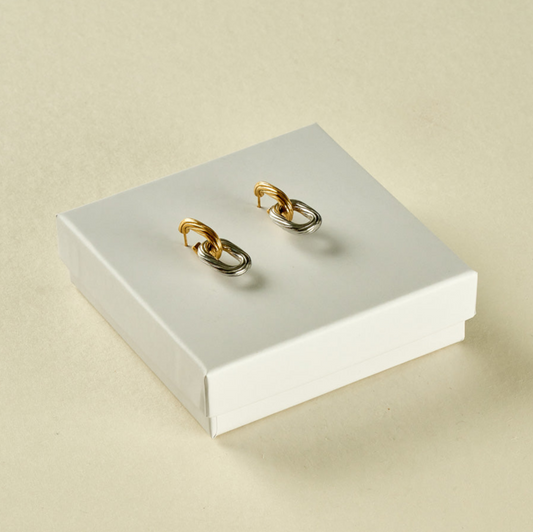 Stainless Steel Earrings 123E2235