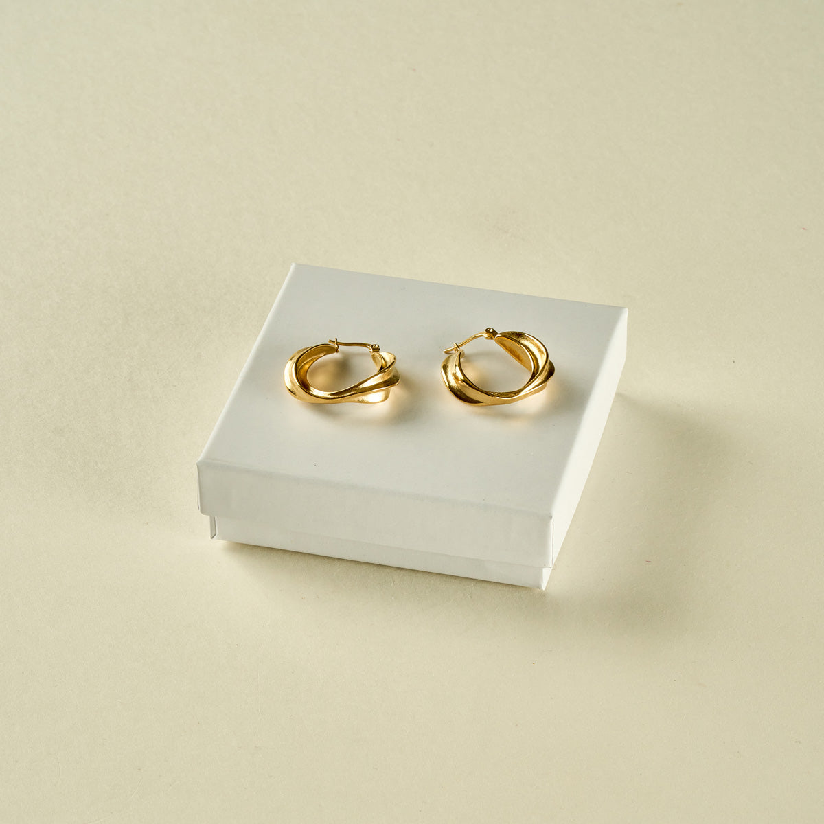 Stainless Steel Earrings 123E2236