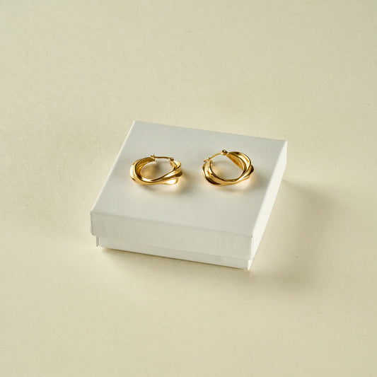 Stainless Steel Earrings 123E2236