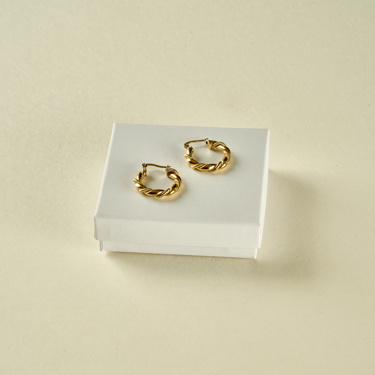 Stainless Steel Earrings 123E2248
