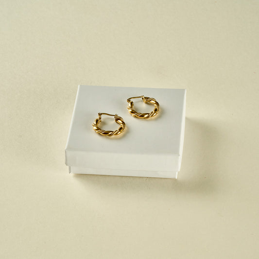Stainless Steel Earrings 123E2248