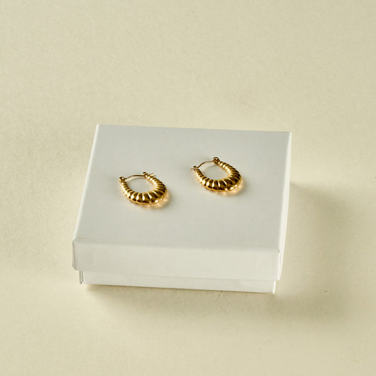 Stainless Steel Earrings 123E2250