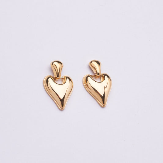 Stainless Steel Earrings 123E2277