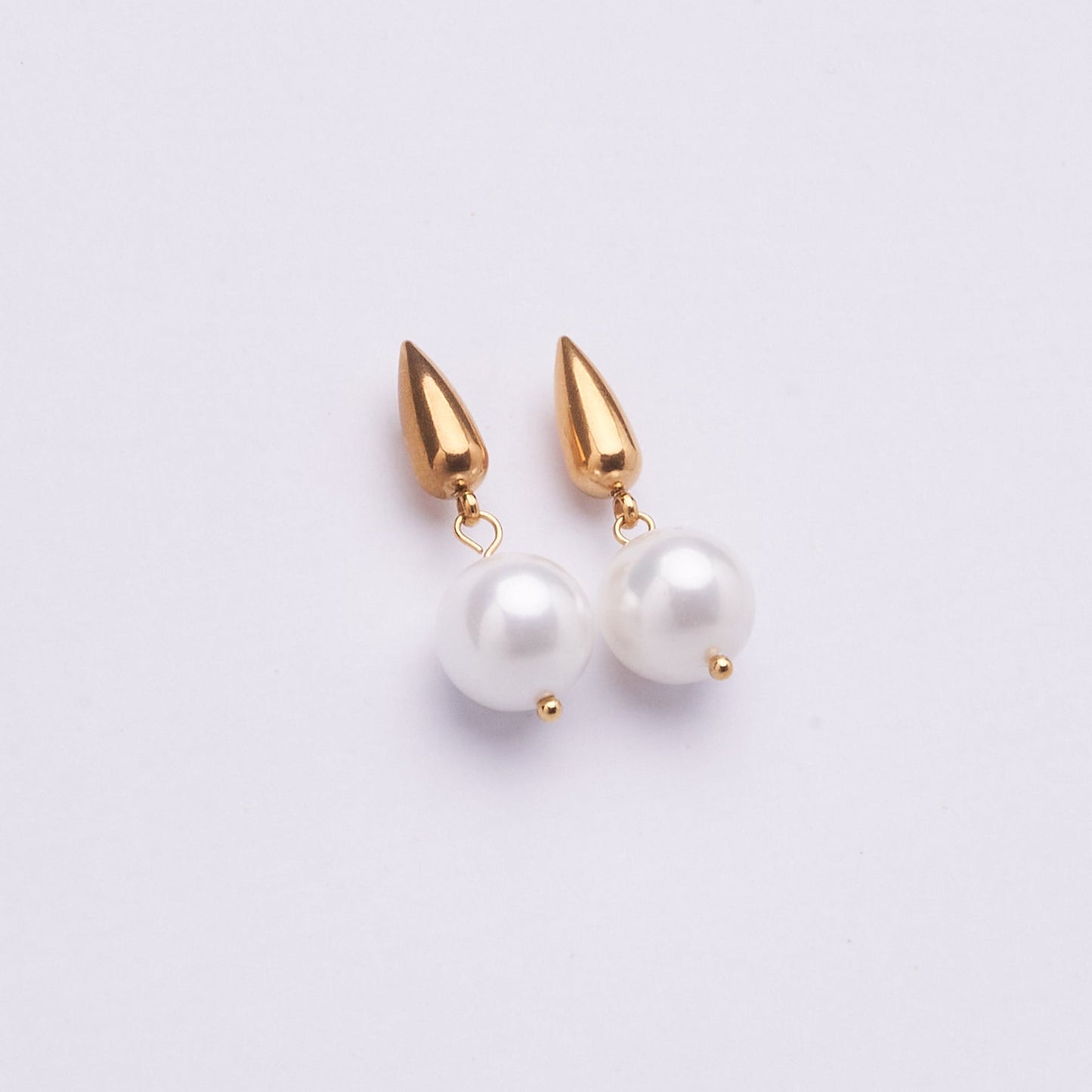 Stainless Steel Earring  122E1495