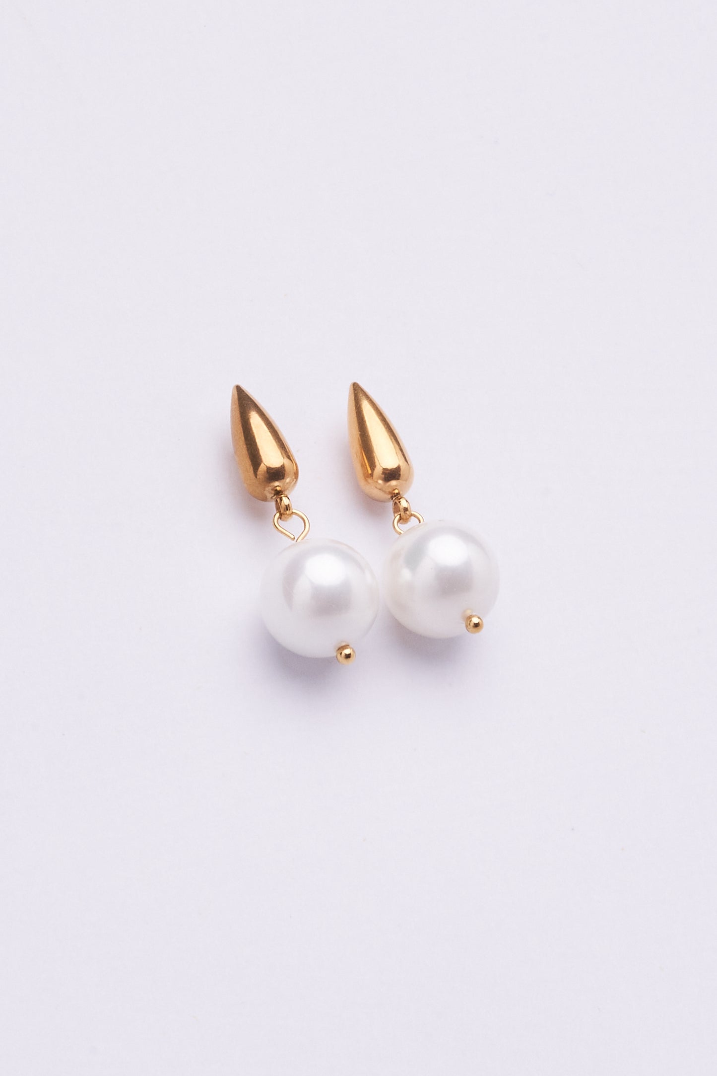 Stainless Steel Earring  122E1495