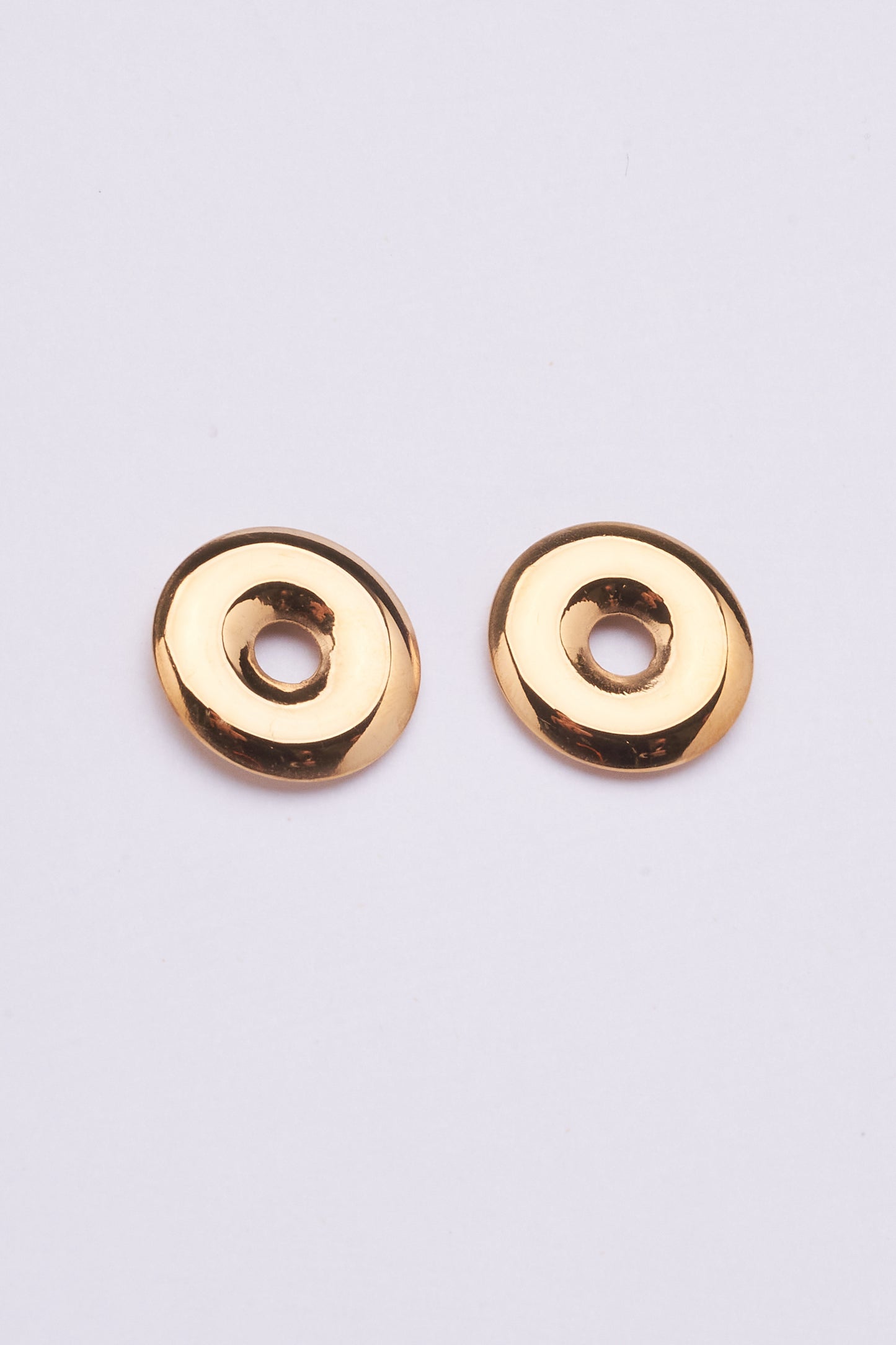 Stainless Steel Earring 122E1503
