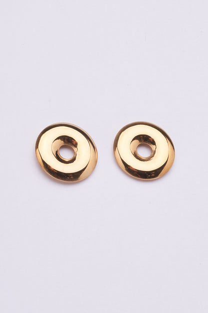 Stainless Steel Earring 122E1503