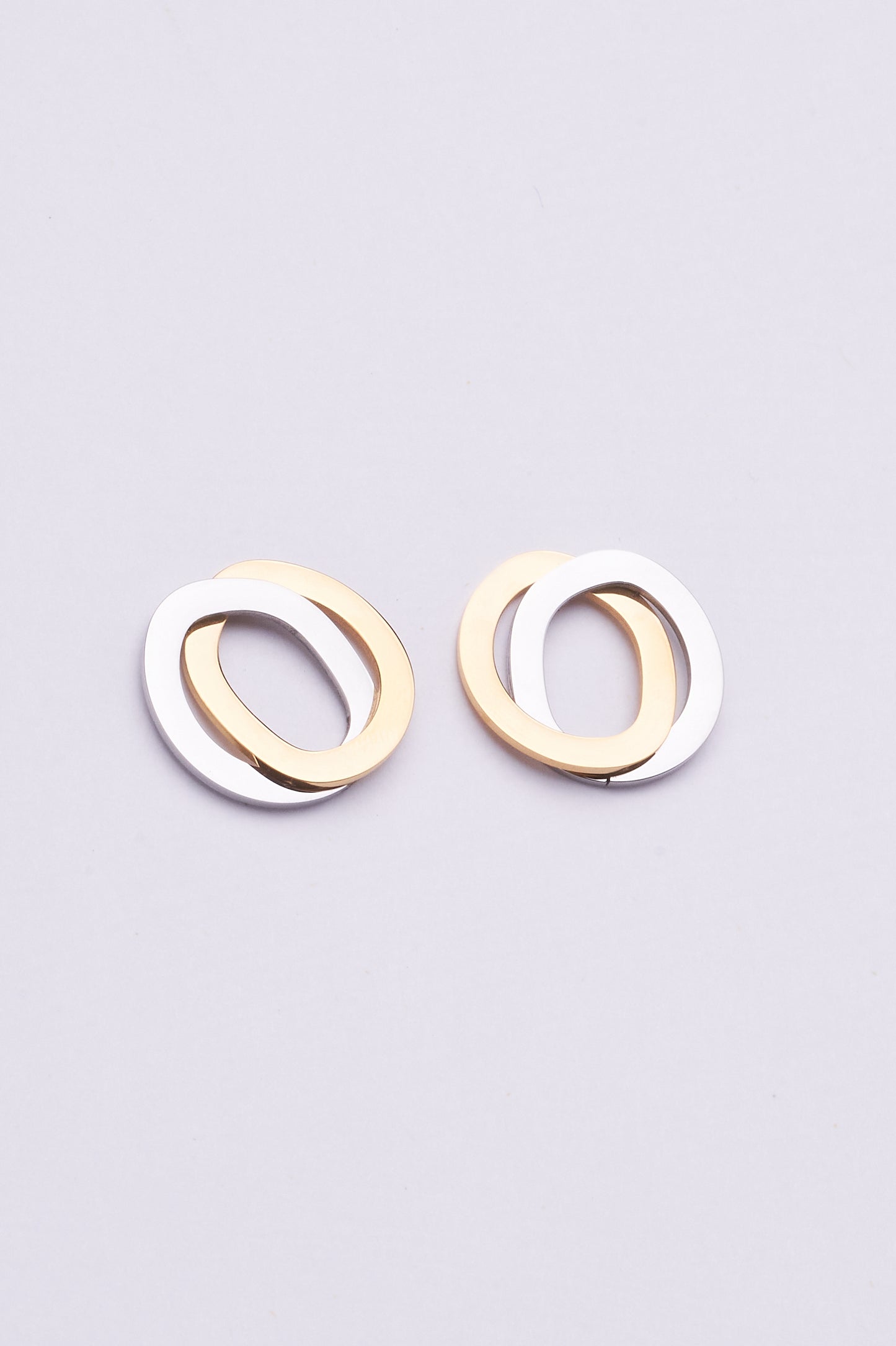 Stainless Steel Earrings 122E1544