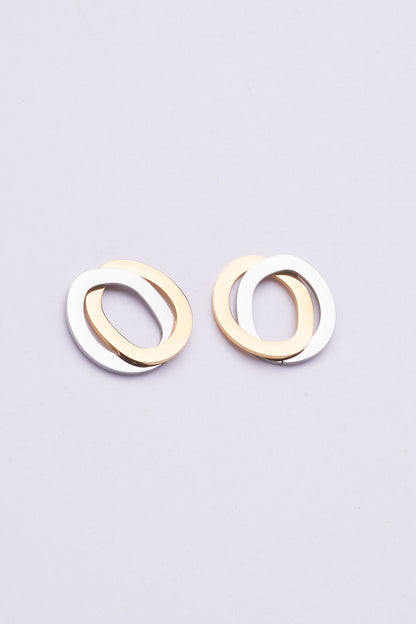 Stainless Steel Earrings 122E1544