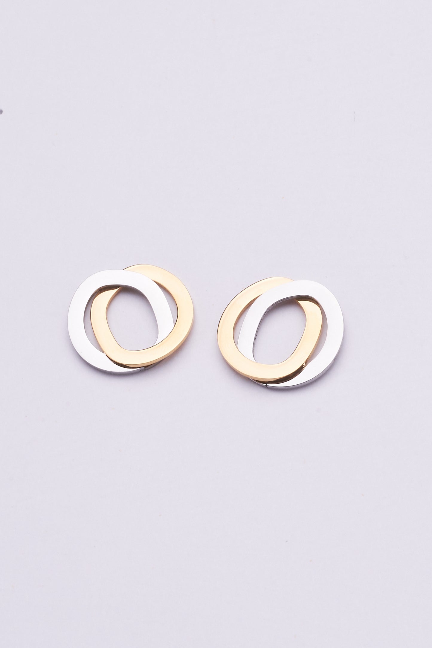 Stainless Steel Earrings 122E1544
