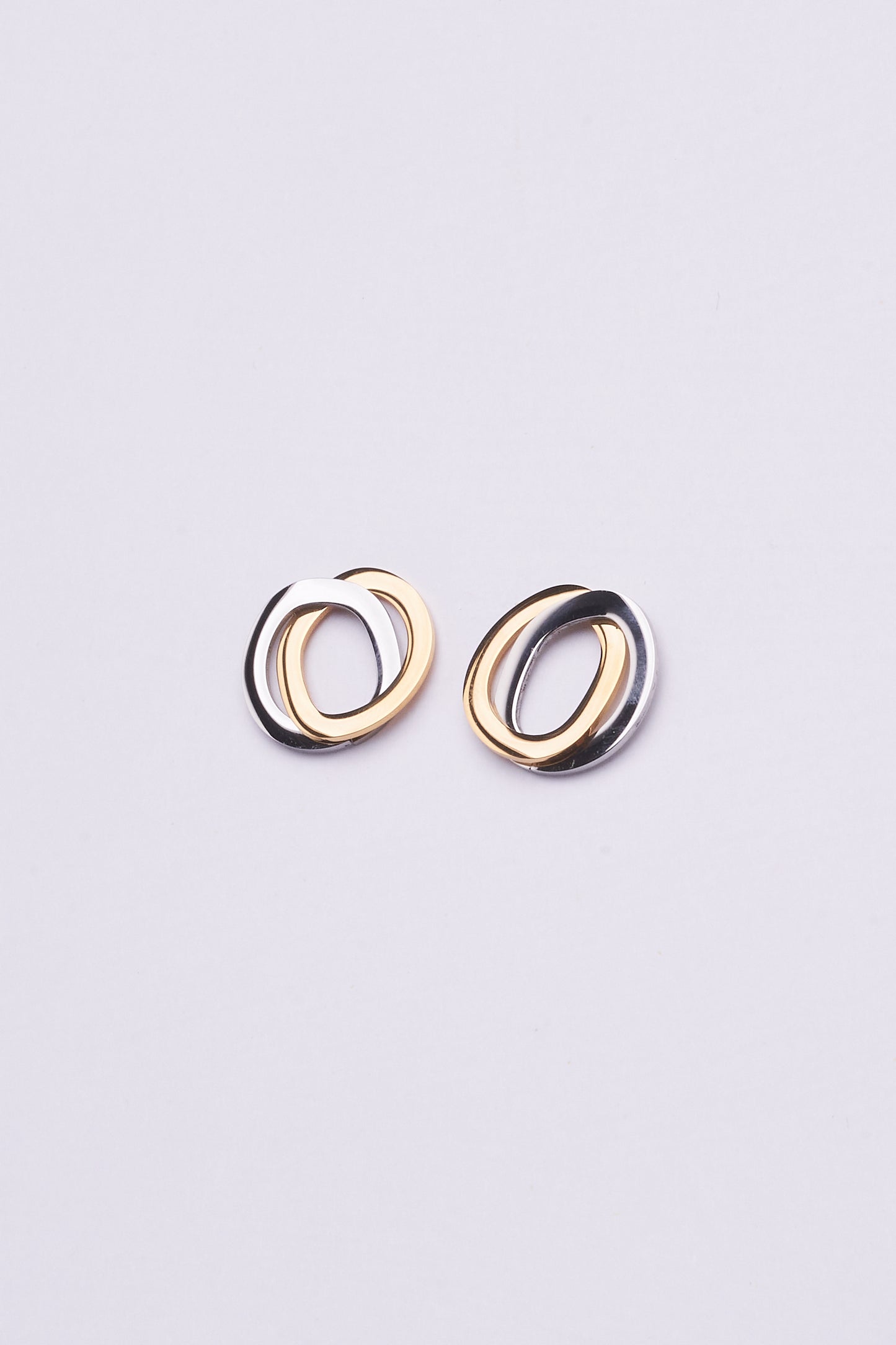 Stainless Steel Earrings 122E1544