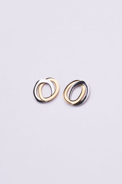 Stainless Steel Earrings 122E1544