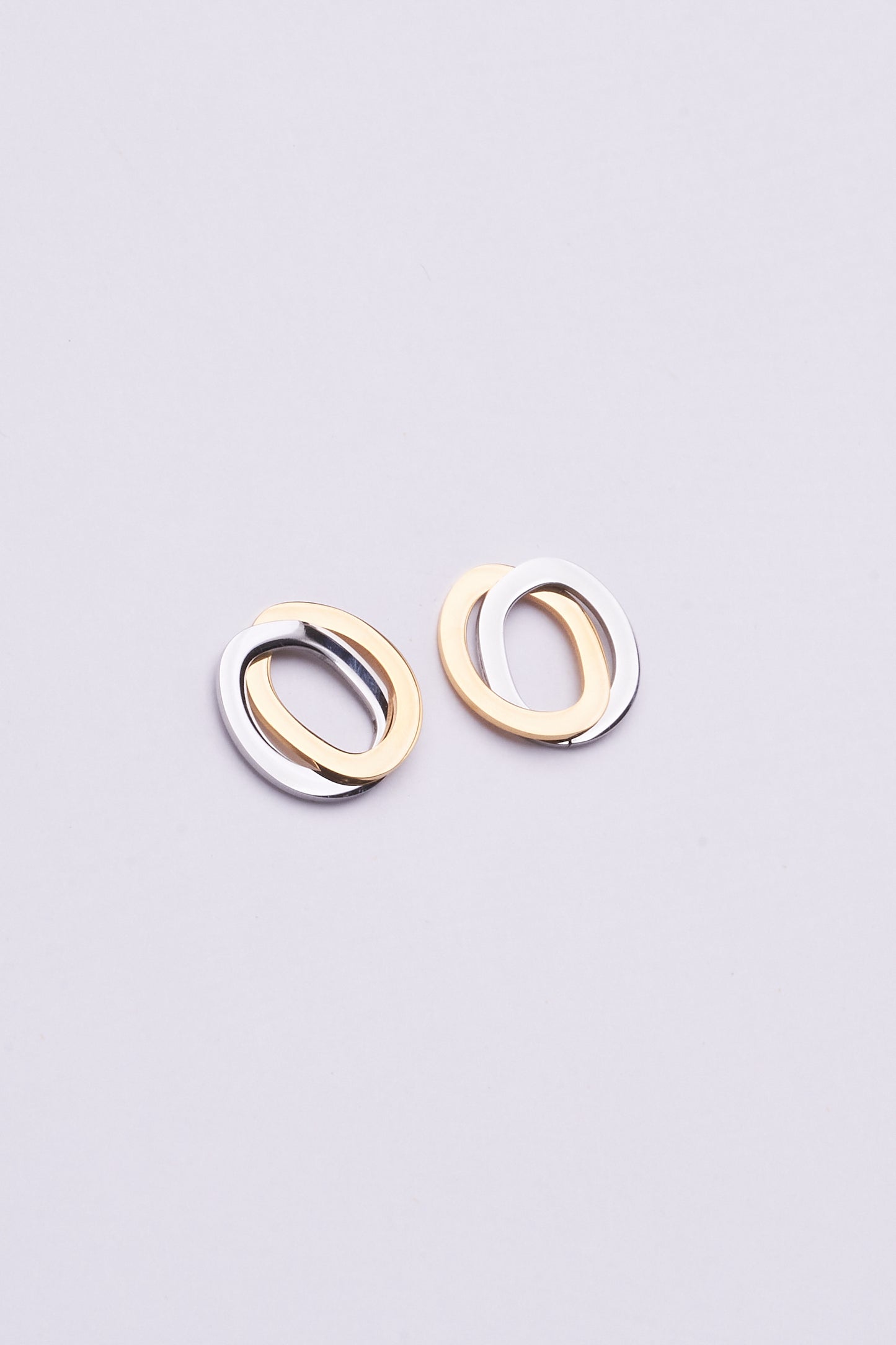 Stainless Steel Earrings 122E1544