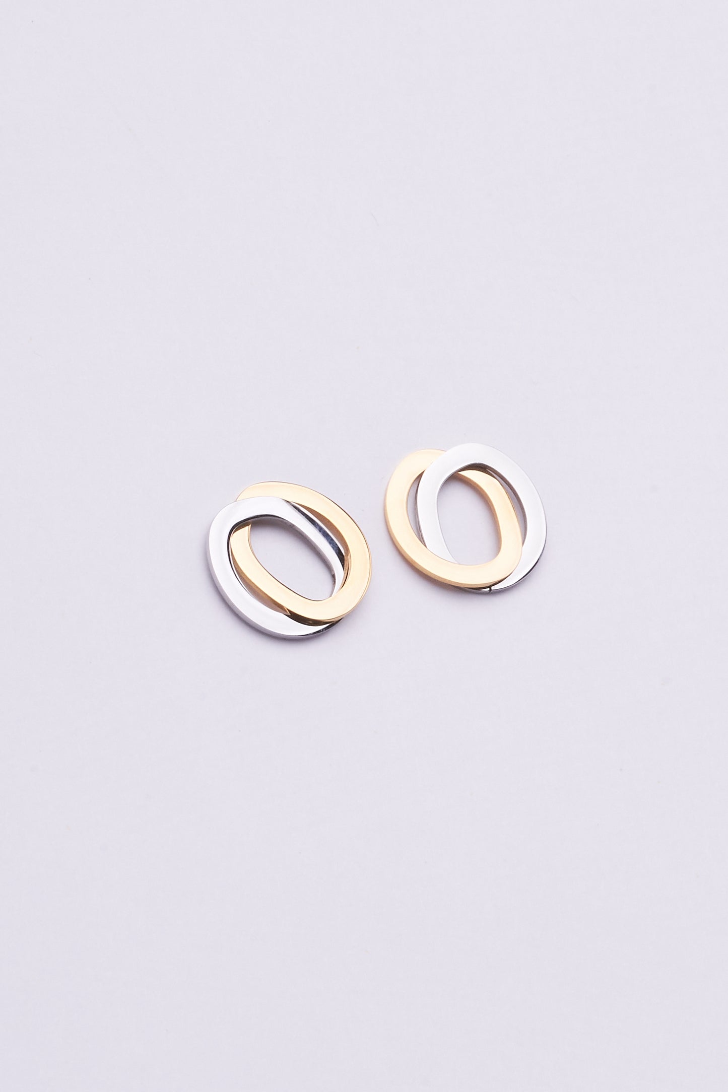 Stainless Steel Earrings 122E1544