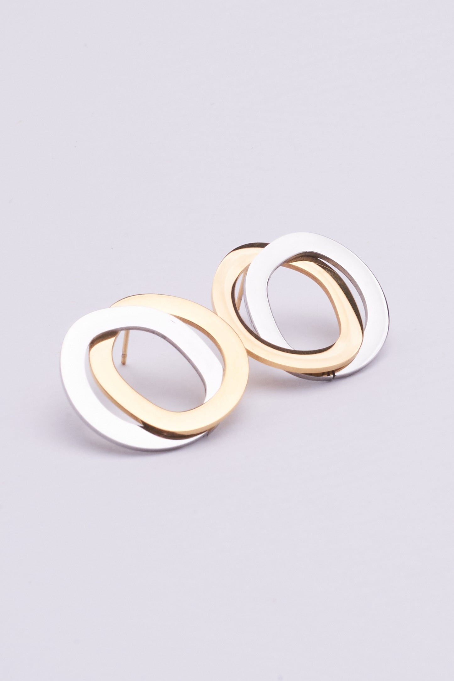 Stainless Steel Earrings 122E1544