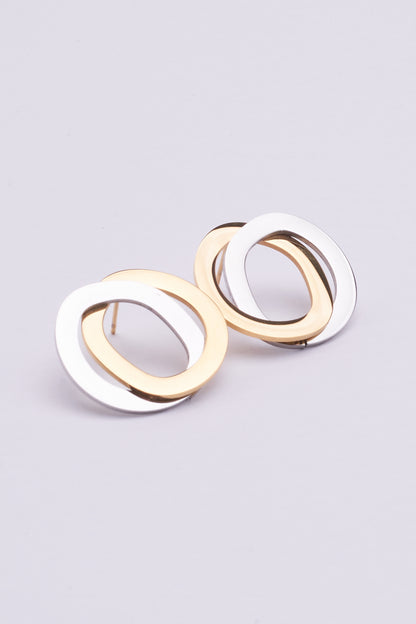 Stainless Steel Earrings 122E1544