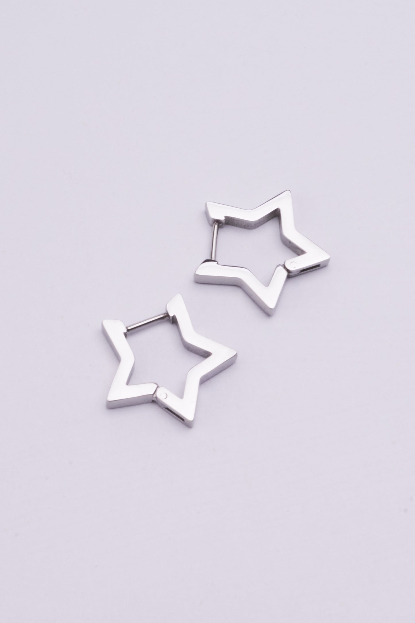 Stainless Steel Earrings 123E2281