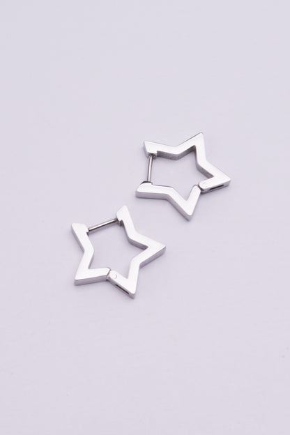 Stainless Steel Earrings 123E2281