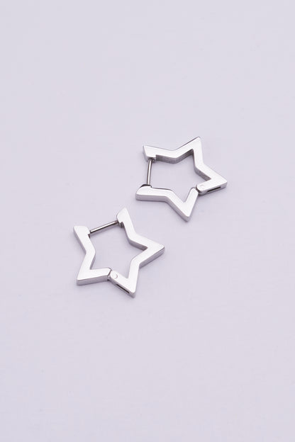 Stainless Steel Earrings 123E2281