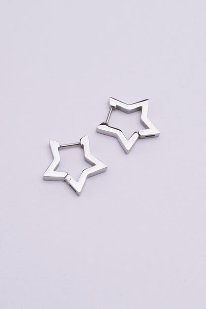 Stainless Steel Earrings 123E2281