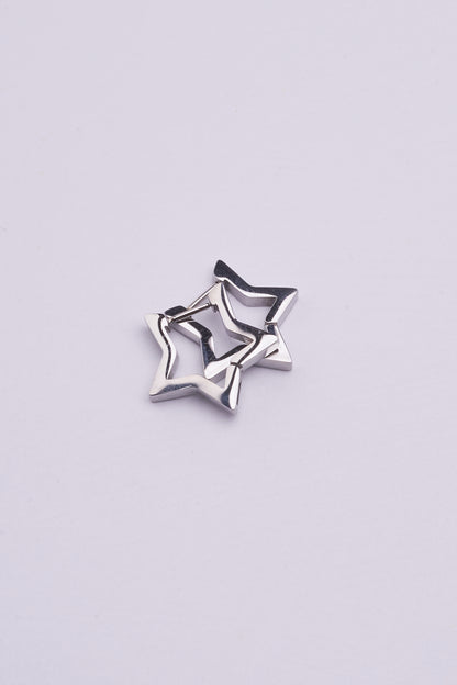 Stainless Steel Earrings 123E2281