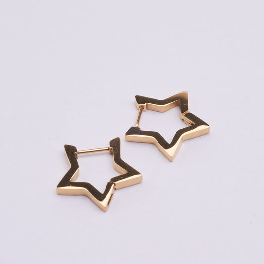 Stainless Steel Earrings 123E2281