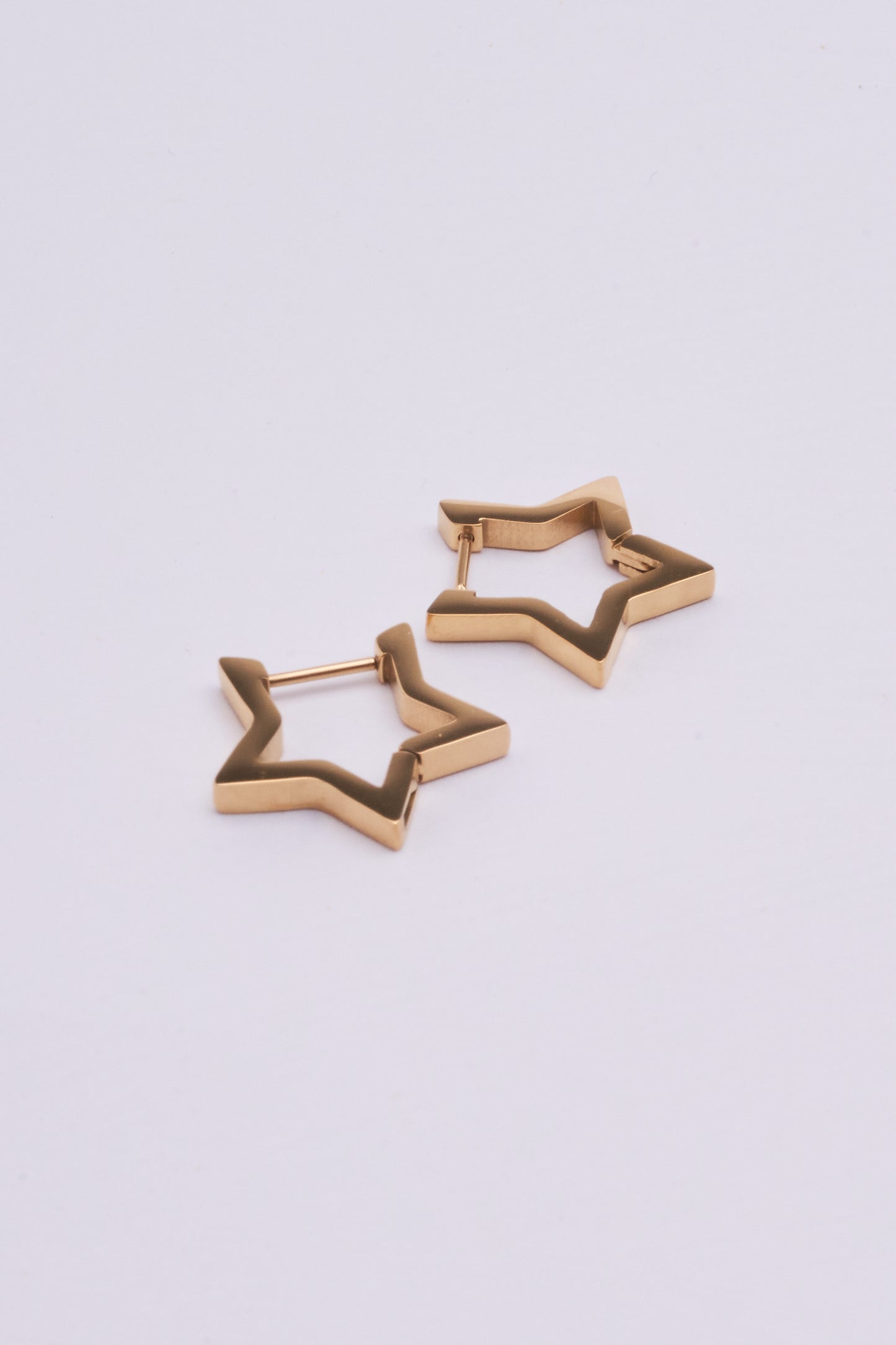 Stainless Steel Earrings 123E2281