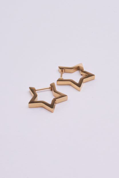 Stainless Steel Earrings 123E2281