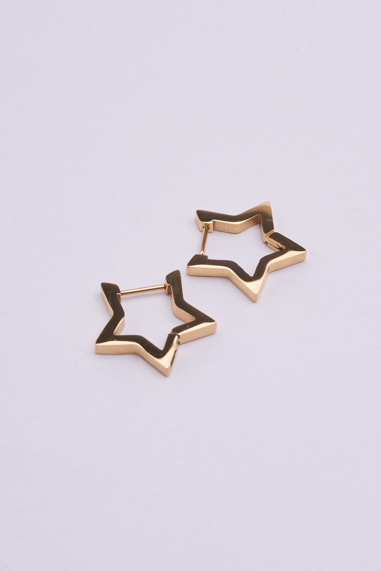 Stainless Steel Earrings 123E2281